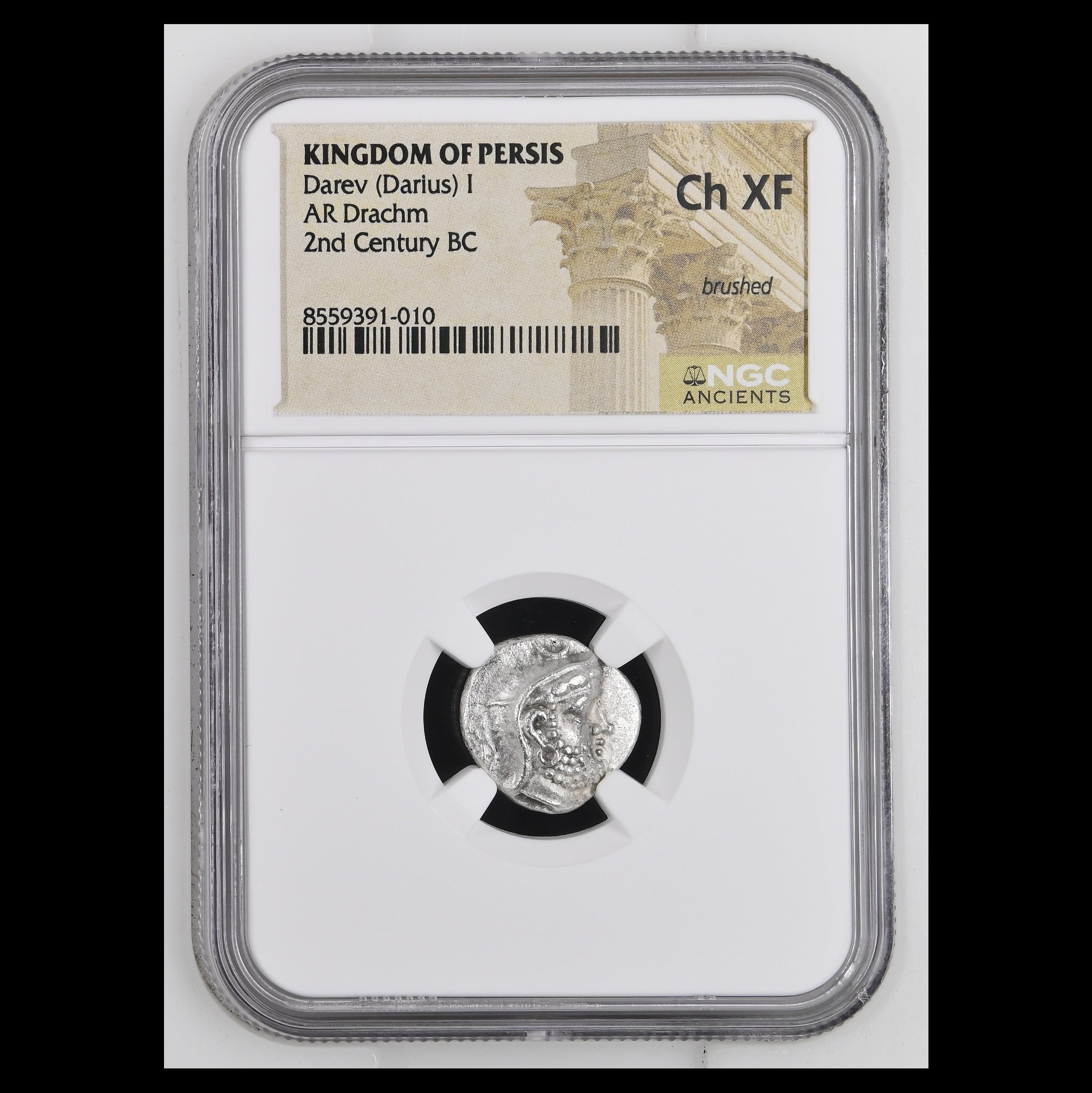 A graded ancient coin in a clear NGC slab. The coin is a Ch XF brushed silver AR Drachm from the Kingdom of Persis, 2nd Century BC, featuring the profile of Darius I.