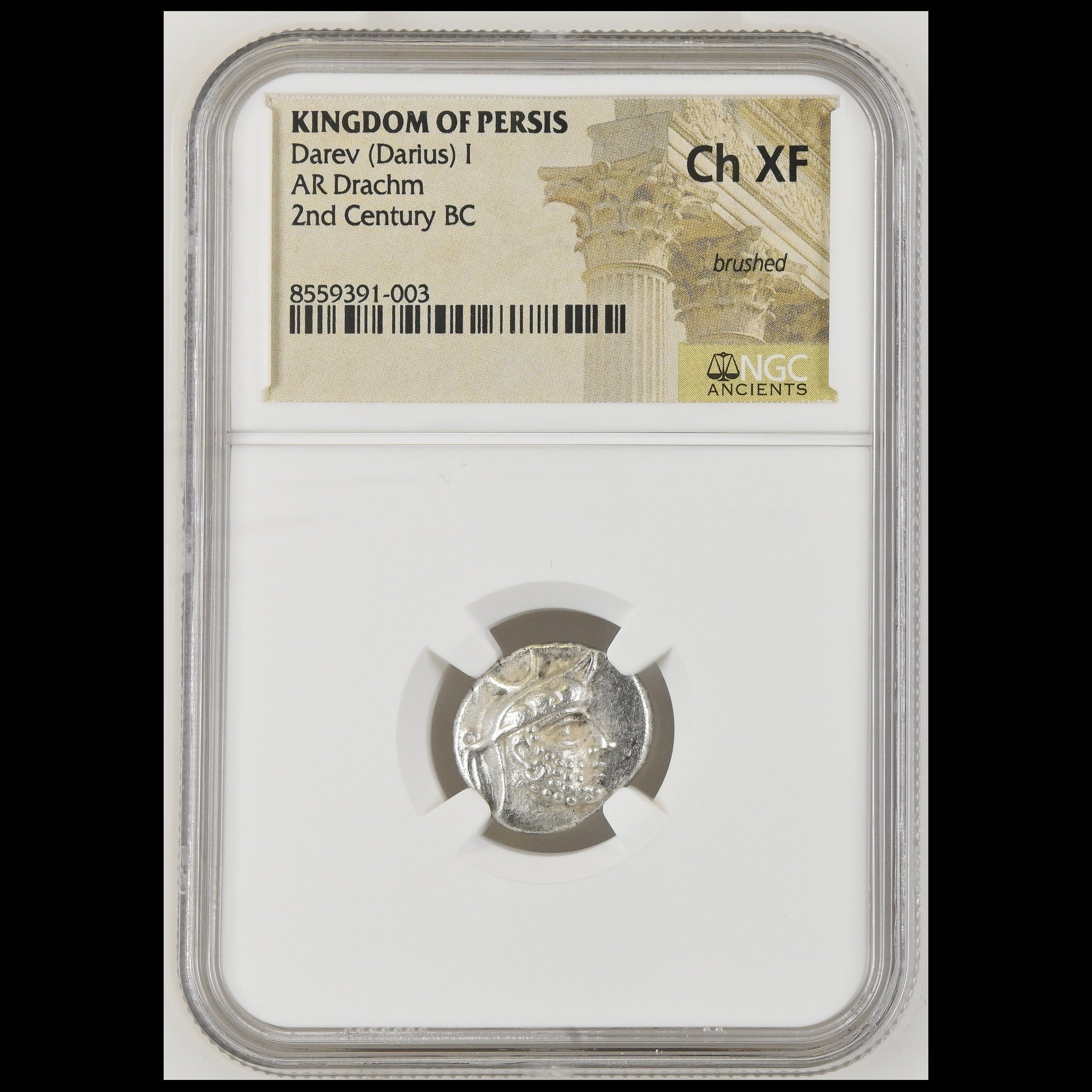 A graded ancient coin in a clear NGC holder. The coin is an AR Drachm of Ch XF from the Kingdom of Persis, 2nd Century BC, featuring a silver-colored metallic design with a profile bust.